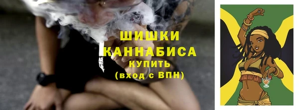 ГАЛЛЮЦИНОГЕННЫЕ ГРИБЫ Белокуриха