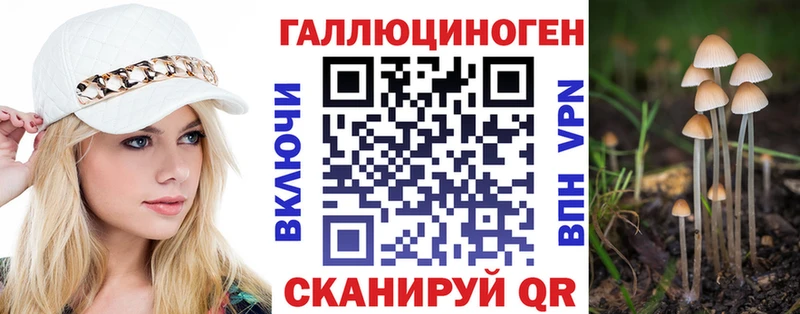 Псилоцибиновые грибы GOLDEN TEACHER  где продают наркотики  Суворов 