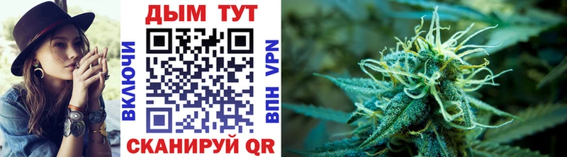 дарнет шоп  Суворов  мега зеркало  Канабис THC 21% 
